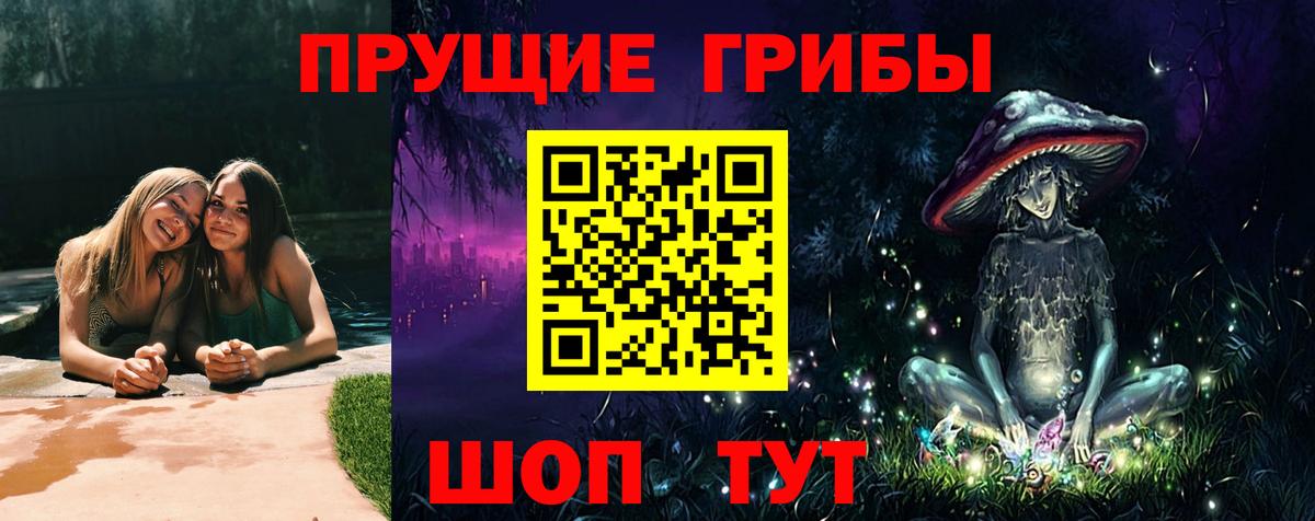 как найти закладки  Галлюциногенные грибы Psilocybe  Вход с VPN  Прохладный 