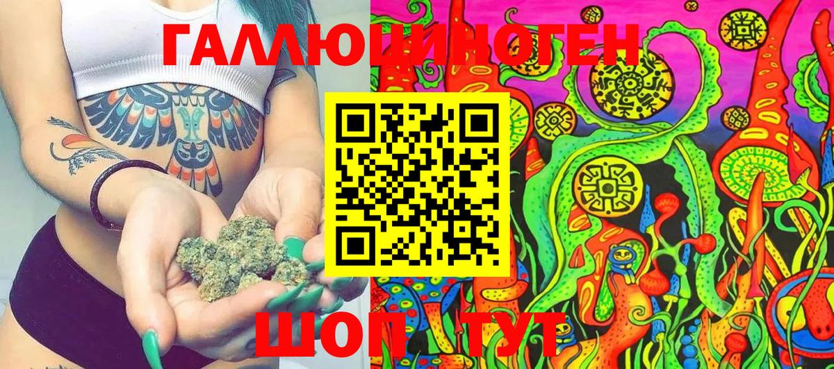 Псилоцибиновые грибы Cubensis Прохладный